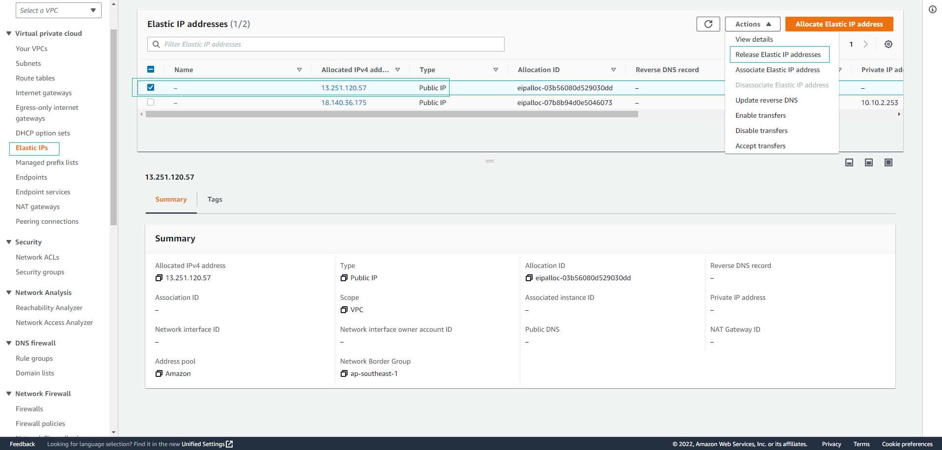 Release Elastic IP